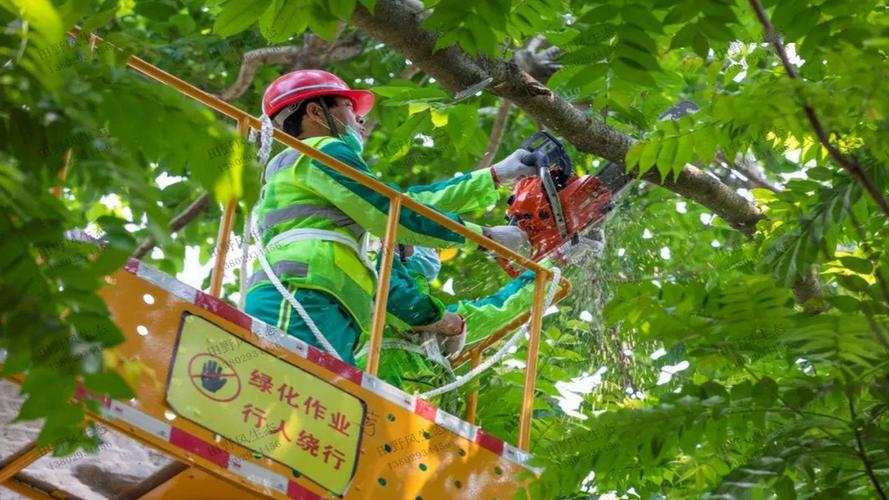 园林绿化工程中的喷泉和水景设计与施工技巧