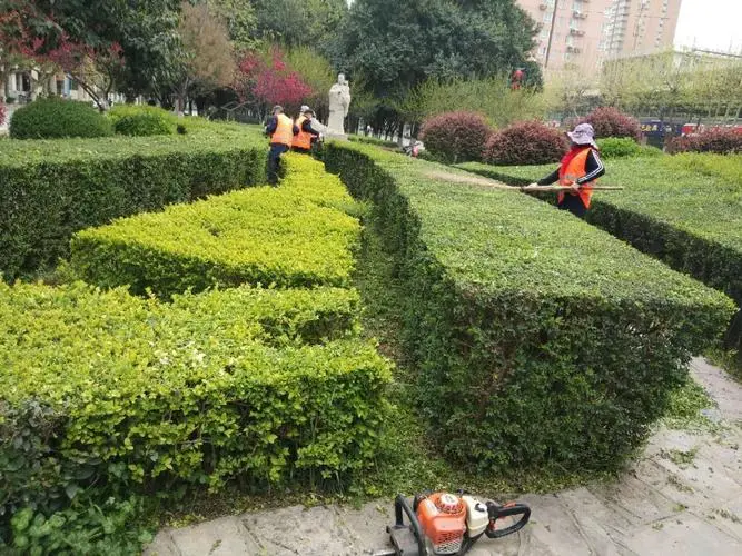 园林绿化工程中的喷泉和水景设计与施工技巧