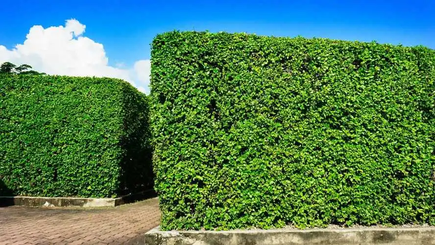 现代风格建筑园林景观设计