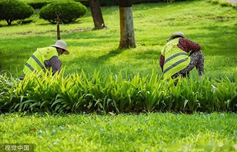 草坪绿化工程方案模板